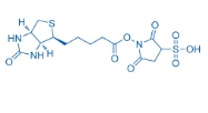 Biotin sulfo-N-hydroxysuccinimide ester，190598-55-1，生物素的N-羟基磺基琥珀酰亚胺酯