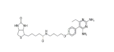 Pyrimethamine Biotin