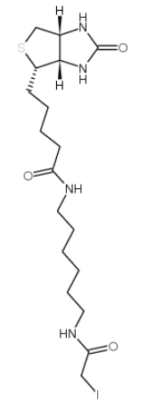 Iodoacetyl-LC-biotin CAS:93285-75-7 一种生物素化的亲电子探针
