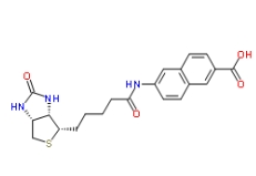 N-Biotinyl-6-amino-2-naphthoic Acid