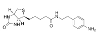 生物素-苯胺 769933-15-5  Biotin-aniline