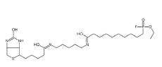 [CAS 259270-28-5]，FP-Biotin 