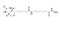 生物素LC酰肼 109276-34-8 Biotin-LC-Hydrazide Biotin-LC-Hz