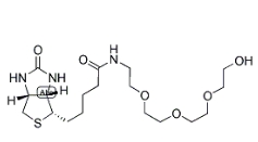 1322625-82-0，1-Biotinylamino-3,6,9-trioxaundecane-11-ol
