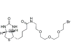 [CAS 1041766-91-9]，1-Biotinylamino-3,6,9-trioxaundecane-11-bromide 