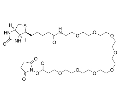  [CAS 2143968-03-8]，Biotin-PEG8-NHS ester，生物素-八聚乙二醇-丙烯酸琥珀酰亚胺酯