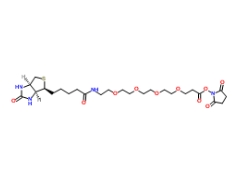 [CAS 459426-22-3]，15-Biotinlamino-4,7,10,13-Dioxanonanoic Acid N-Hydroxysuccinimidyl Ester 