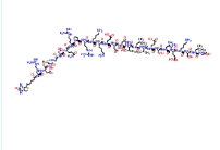 Biotinyl-pTH (44-68) (human)，198341-96-7，生物素化多肽