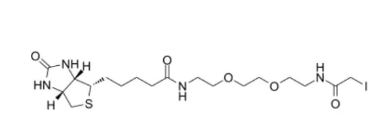  Biotin-PEG2-C2-iodoacetamide