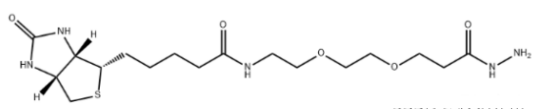 Biotin-PEG2-hydrazide 