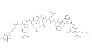 87468-58-4，Biotin-Substance P，生物素标记肽