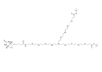 N-(Biotin-peg4)-n-bis(peg4-t-butyl ester)，2112730-79-5，用于生物标记和交联的化合物