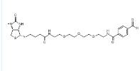 CAS:889443-90-7,Biotin-PEG3-aldehyde,生物素-PEG3-苯甲醛,生物素（Biotin）衍生物