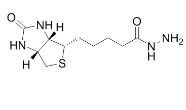 CAS:66640-86-6,生物素酰肼,Biotin Hydrazide,羰基反应性生物素化试剂