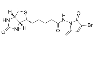 CAS:2468100-38-9,L-Biotin-NH-5MP-Br,功能化的生物素衍生物