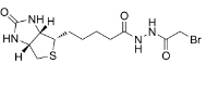 CAS:57170-18-0,Biotin N-(bromoacetyl)hydrazide,生物素衍生物