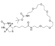 1292268-20-2;Biotin-PEG6-NH-Boc;生物素-六聚乙二醇-丙酸叔丁酯；基于PEG的PROTAC连接剂