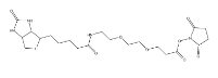 596820-83-6,Biotin-PEG2-NHS ester,9-(生物素氨基)-4,7-二氧杂壬酸N-琥珀酰亚胺酯