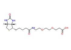 Biotin-PEG2-Acid	       1365655-89-5          	生物素-二聚乙二醇-丙酸