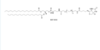 DSPE-PEG-Biotin,二硬脂酰磷脂酰乙酰胺-聚乙二醇-生物素,385437-57-0 
