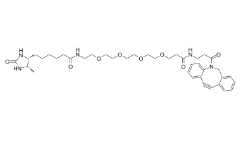 Desthiobiotin-PEG4-DBCO       	2032788-37-5           	脱硫生物素-四聚乙二醇-二苯基环辛炔