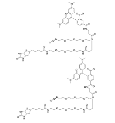 TAMRA-Azide-PEG-Biotin	       1797415-74-7	      四甲基罗丹明-叠氮-PEG-生物素