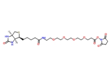 NHS-PEO4-Biotin	459426-22-3 	     活化生物素