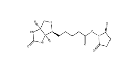 Biotin NHS、35013-72-0、生物素N-羟基琥珀酰亚胺酯 