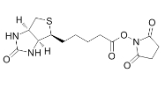 (+)-Biotin-NHS Ester/35013-72-0/生物素-N-羟基琥珀酰亚胺酯/氨基反应性生物素试剂