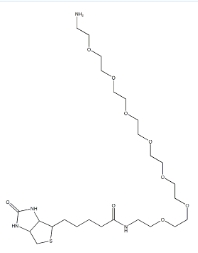 1334172-76-7,Biotin-PEG7-amine，生物素-八聚乙二醇-氨基