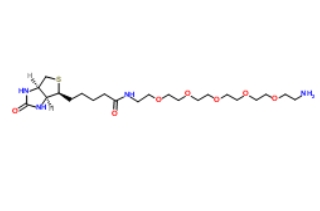 Biotin-PEG5-NH2、113072-75-6、生物素-六聚乙二醇-氨基