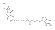Sulfo-NHS-LC-Biotin Sodium、磺基-N-羟基琥珀酰亚胺-长链生物素钠盐、127062-22-0 / 191671-46-2