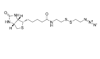 1620523-64-9/Biotin-SS-azide/生物素二硫叠氮