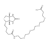 Biotin-PEG-COOH|721431-18-1|生物素-聚乙二醇-羧基