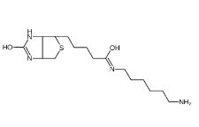 Biotin-C6-amine/CAS: 65953-56-2/生物素-C6-氨基