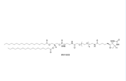 磷脂PEG生物素；385437-57-0；DSPE-PEG-Biotin	