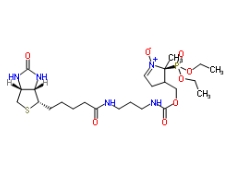 DEPMPO-biotin；936224-52-1