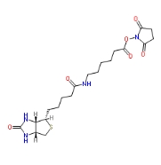 72040-63-2；Biotin-AC5-Osu；N-琥珀酰亚氨基6-生物素氨己酸