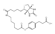 3-(4-(N-生物素-6-氨基己羧基)苯基)丙酸/83592-10-3/3-(4-(N-Biotin-6-Aminocaproic Acid)phenyl)propanoic acid