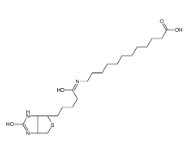 N-生物素十二烷基酸、135447-73-3、N-Biotinyl-12-aminododecanoic Acid