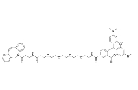 CAS号：1895849-41-8，DBCO-PEG4-TAMRA，TAMRA-PEG4-DBCO，二苯基环辛炔-四聚乙二醇-TAMRA