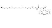 DBCO-PEG6-amine,DBCO-PEG6-NH2，CAS:2353409-98-8 二苯基环辛炔-六聚乙二醇-氨基