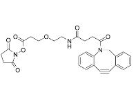 CAS:2228857-34-7，DBCO-PEG1-NHS ester，二苯基环辛炔-一聚乙二醇-琥珀酰亚胺酯