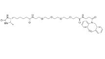 DBCO-PEG4-Desthiobiotin，cas:2032788-37-5，二苯基环辛炔-四聚乙二醇-脱硫生物素