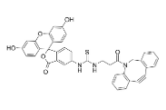 Fluorescein-DBCO  