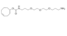(4E)-TCO-C3-PEG3-C3-amine，2028288-77-7，(4E)-反式环辛烯-C3-三聚乙二醇-C3-胺