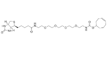 TCO-PEG4-biotin，2183440-30-2，生物素-PEG4-TCO