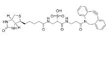 DBCO-Sulfo-Link-biotin/cas:1363444-70-5