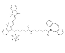 Cy3-DBCO,DBCO-Cy3,Cyanine3-Dibenzocycolctyne，Cy3-二苯基環(huán)辛炔，2692677-79-3