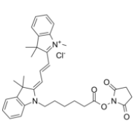 Cy3 NHS ester  